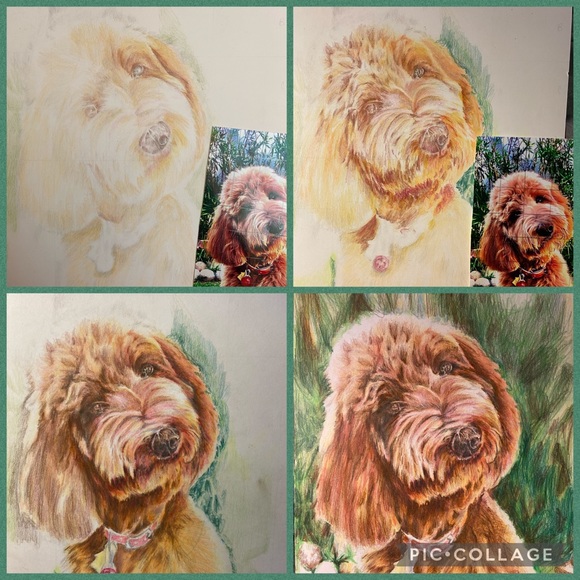 🪴🌻 Welcome! 🍄🌿 - Picture 7 of 17